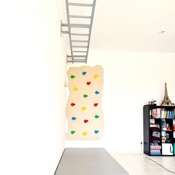 Rock Face Climbing Wall with Monkey Bars