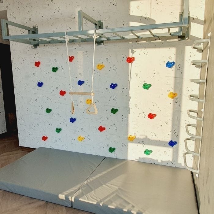 Monkey Bars with Climbing Grips and Ladder