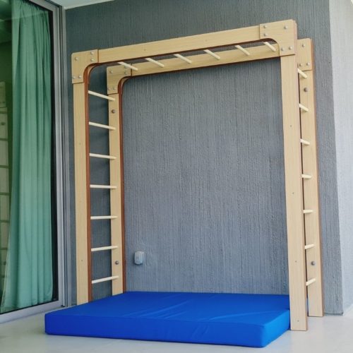Monkey Bars With Safety Mat