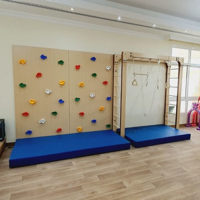 Monkey Bar And 2 Panel Climbing Wall Set with Safety Mats
