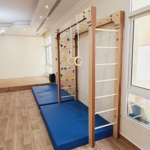Monkey Bar And 2 Panel Climbing Wall Set with Safety Mats