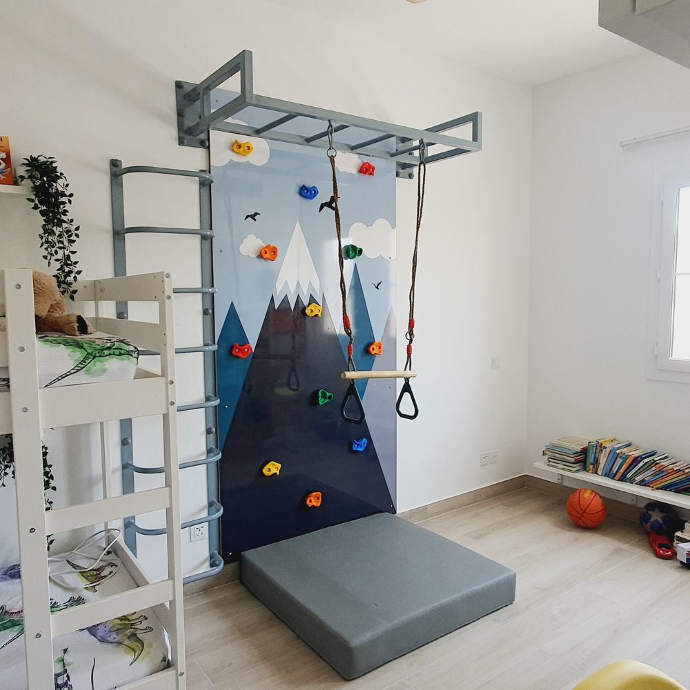 Buy Climbing Wall Panel with Mountain Graphic, Ladder & Monkey Bar at ...