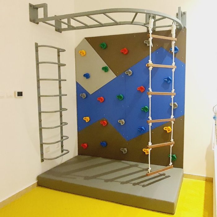 Climbing Wall With Curve Monkey Bar